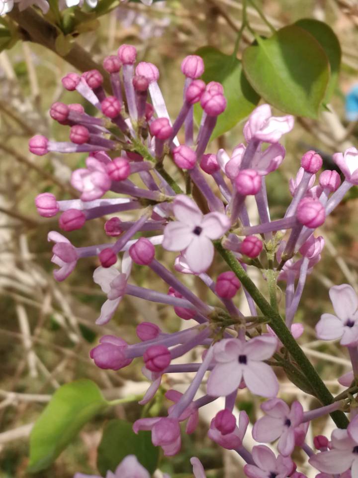 心似双丝网,中有千千结。