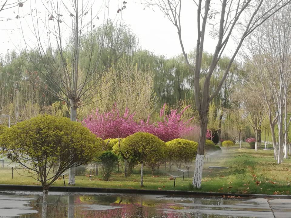 春天不仅仅是调色师,还是画师,看,水墨画。