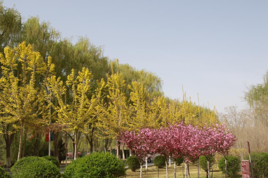 春天是调色师吗?红、黄、绿