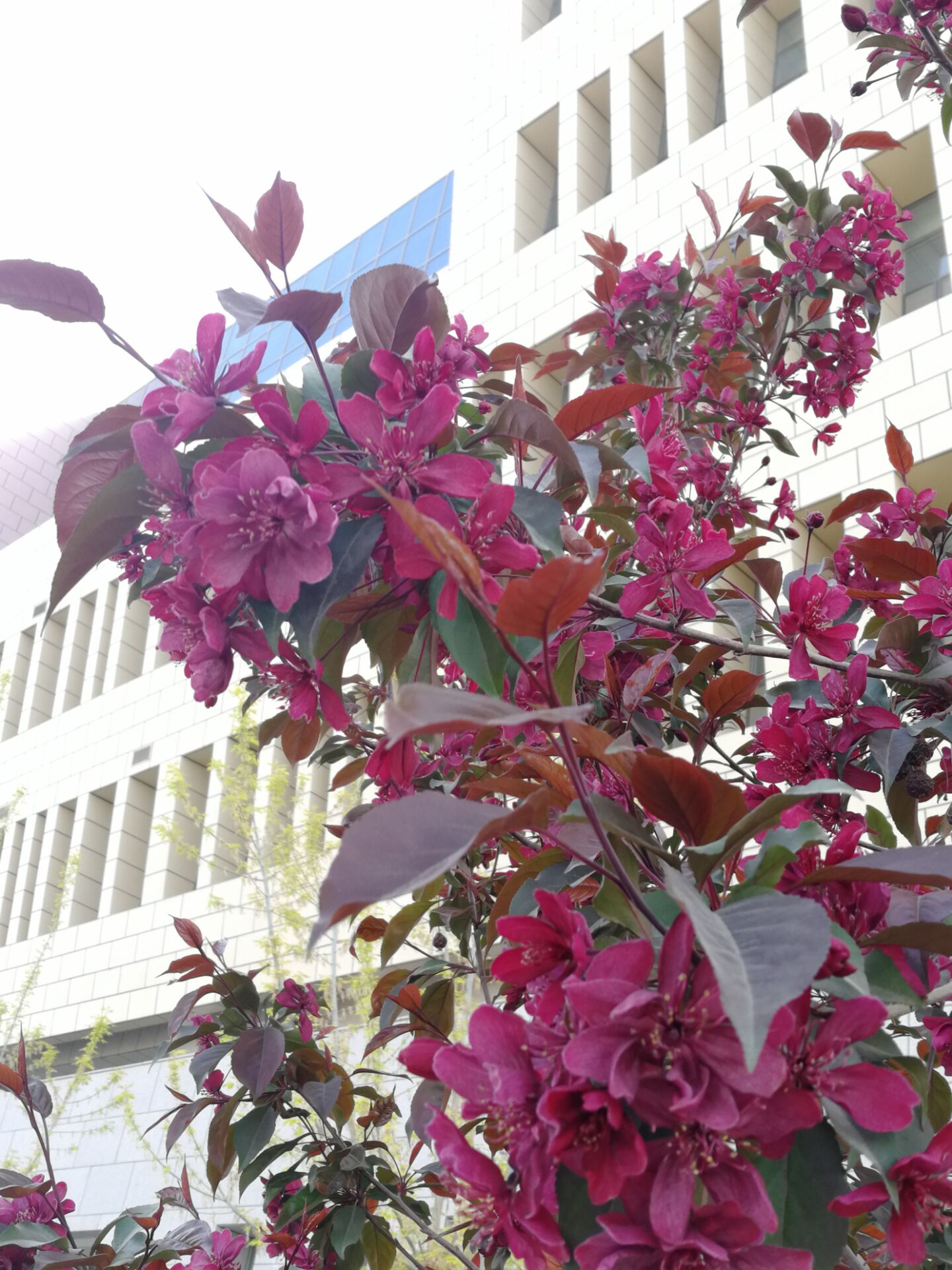 猜猜猜,这是哪?