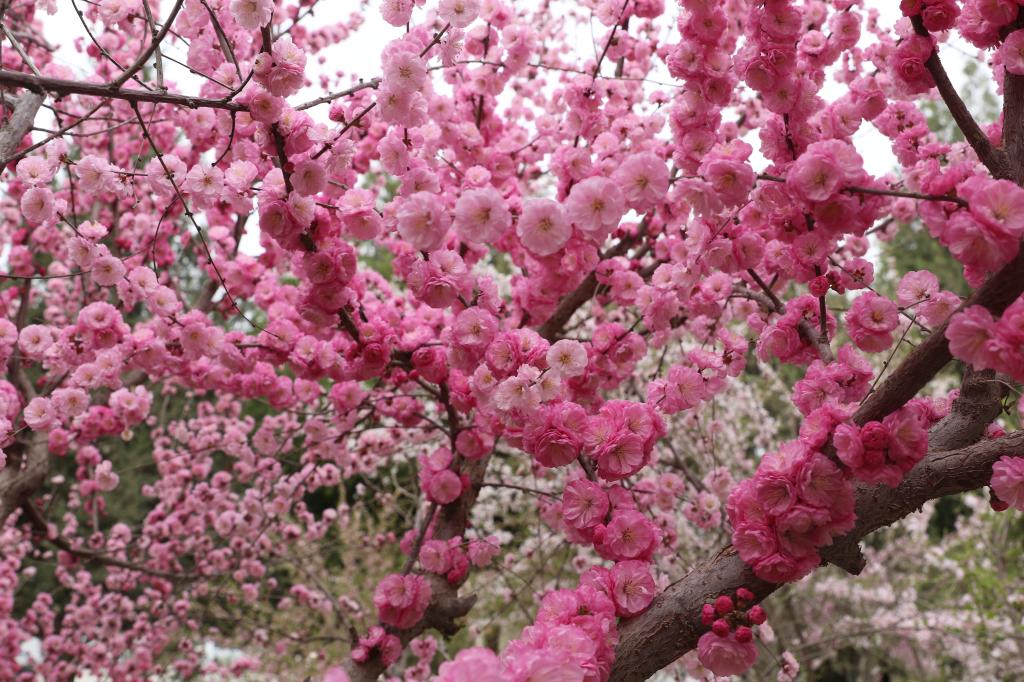 热烈是热烈者的通行证!